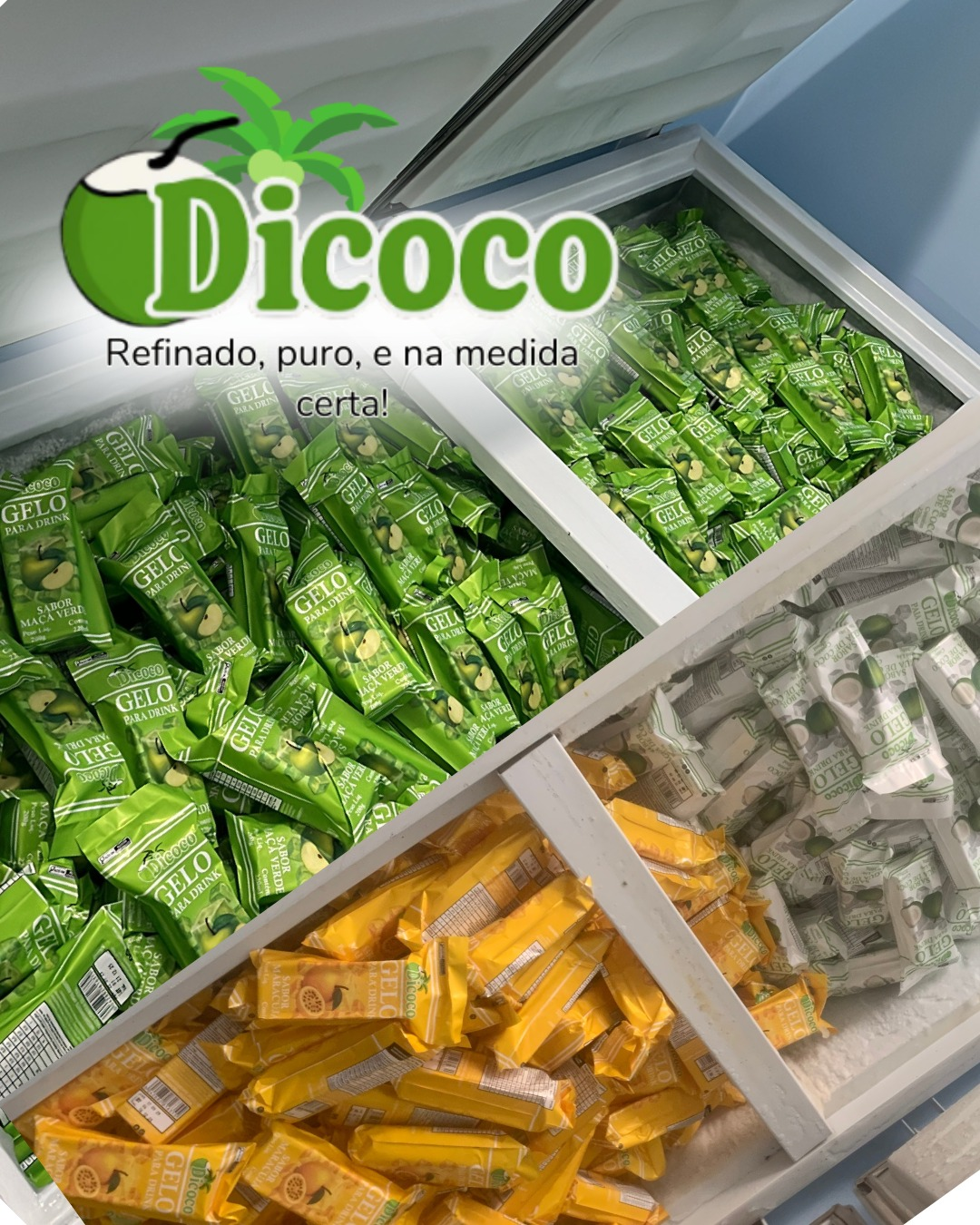 Freezer industrial com produtos Dicoco organizados - embalagens verdes, amarelas e brancas